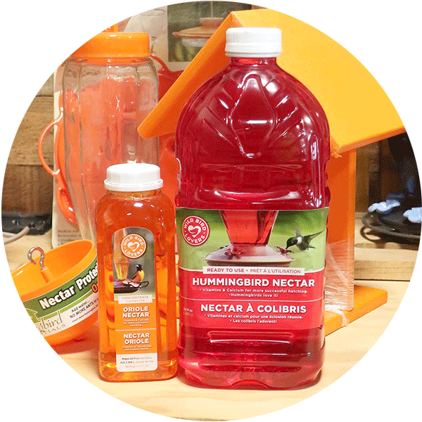 Bottles of Hummingbird and Oriole Nectar